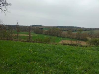 For sale Saint-clar 3495 m2 Gers (32380) photo 0