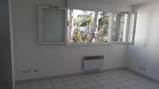 Louer Appartement 20 m2 Montpellier