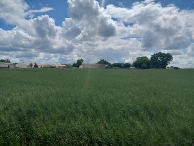 Acheter Terrain Ballon Charente maritime