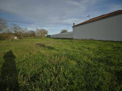 For sale Pont-l'abbe-d'arnoult 730 m2 Charente maritime (17250) photo 0