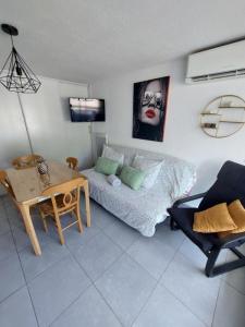 Louer Appartement 30 m2 Saint-cyprien