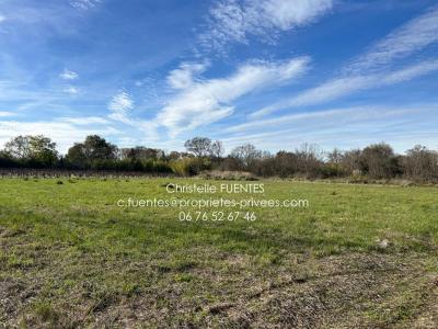 For sale Loupian 2420 m2 Herault (34140) photo 0