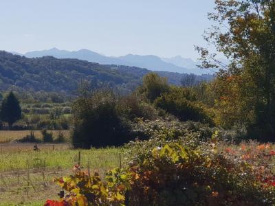 For sale Bonrepos BONNEFONT 7 rooms 188 m2 Hautes pyrenees (65330) photo 2