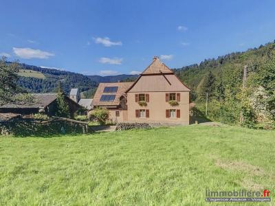 For sale Sainte-marie-aux-mines 4 rooms 152 m2 Haut rhin (68160) photo 1