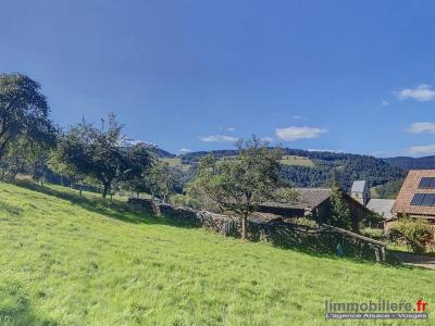 For sale Sainte-marie-aux-mines 4 rooms 152 m2 Haut rhin (68160) photo 2