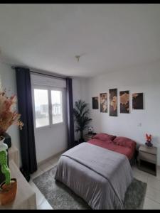 Louer Appartement Furiani Corse