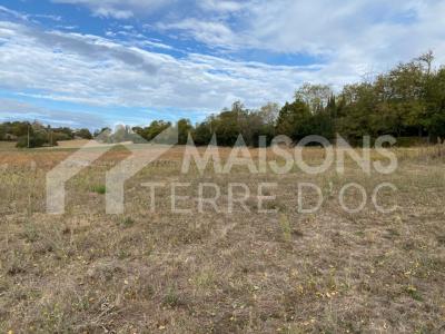 For sale Revel 794 m2 Haute garonne (31250) photo 0