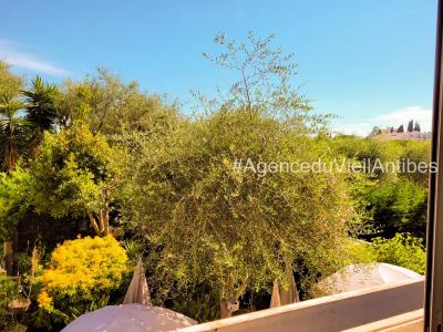 For rent Antibes SAINT JEAN 1 room 19 m2 Alpes Maritimes (06600) photo 1