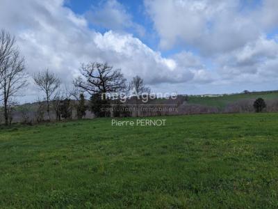 Annonce Vente Terrain Paulinet 81