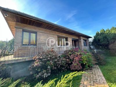 Annonce Vente 7 pices Maison Neuville-saint-vaast 62