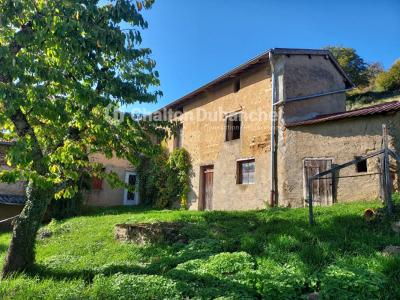 For sale Sainte-colombe-sur-gand 4 rooms 150 m2 Loire (42540) photo 1