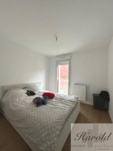 Louer Appartement Amiens Somme