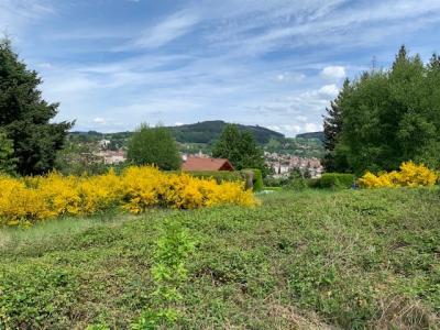 For sale Chauffailles 1679 m2 Saone et loire (71170) photo 1