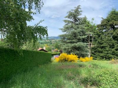 For sale Chauffailles 1679 m2 Saone et loire (71170) photo 2