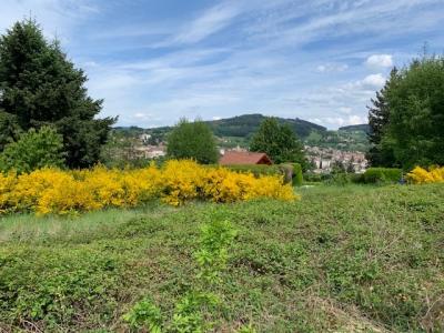 For sale Chauffailles 1679 m2 Saone et loire (71170) photo 3