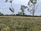 For sale Land Trans-sur-erdre  396 m2