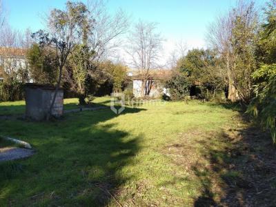 For sale Bruges 720 m2 Gironde (33520) photo 0