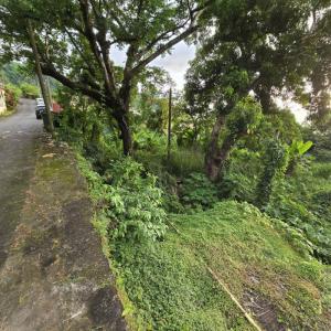 Acheter Terrain Saint-pierre Martinique