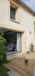 For sale Adissan 7 rooms 338 m2 Herault (34230) photo 0