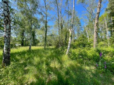 Acheter Terrain 6550 m2 Romorantin-lanthenay