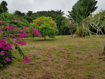 For sale Macouria 3 rooms 111 m2 Guyane (97355) photo 0