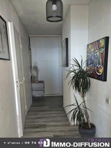 For sale PORT  THEATRE DE LA MER 3 rooms 35 m2 Herault (34200) photo 4