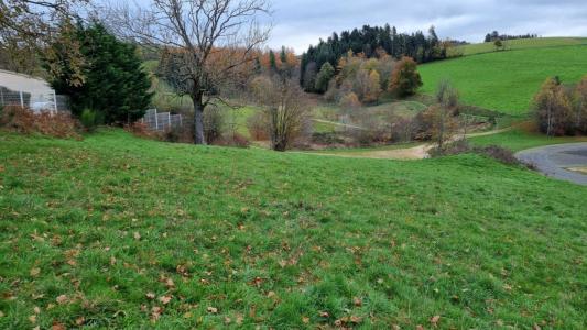 Annonce Vente Terrain Saint-didier-en-velay 43