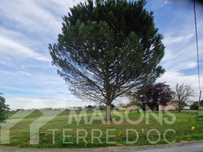 Annonce Vente Maison Gaillac 81