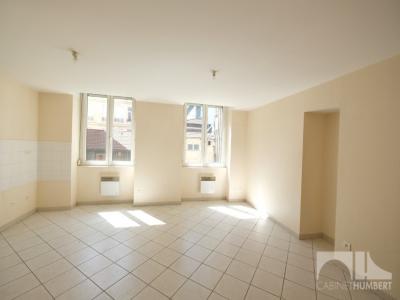 For rent Saint-etienne 2 rooms 41 m2 Loire (42000) photo 1