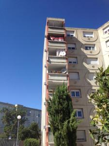 Annonce Location Appartement Avignon 84