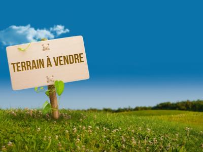 Annonce Vente Terrain Saint-pathus 77