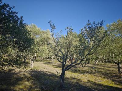 Acheter Terrain 13000 m2 Limoux