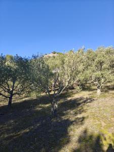 Acheter Terrain Limoux Aude