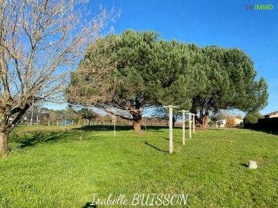 Annonce Vente 3 pices Maison Berson 33