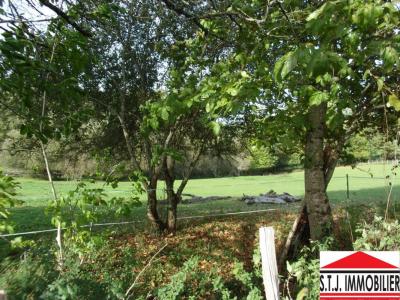 For sale Saint-martin-de-jussac 4000 m2 Haute vienne (87200) photo 1