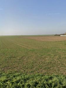 For sale Andilly 386 m2 Charente maritime (17230) photo 1