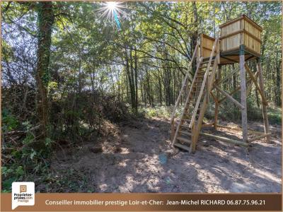 For sale Courmemin 32767 m2 Loir et cher (41230) photo 3