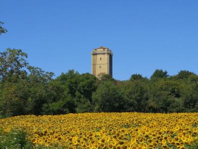 For sale Bassoues 5 rooms 105 m2 Gers (32320) photo 0