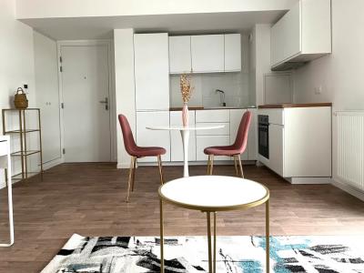 For rent Fontenay-sous-bois 1 room 30 m2 Val de Marne (94120) photo 1