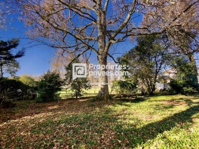 For sale Creon 4 rooms 81 m2 Gironde (33670) photo 4