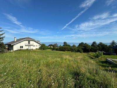 For sale Publier 1134 m2 Haute savoie (74500) photo 1