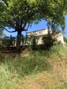 Annonce Vente 6 pices Maison Sainte-maxime 83