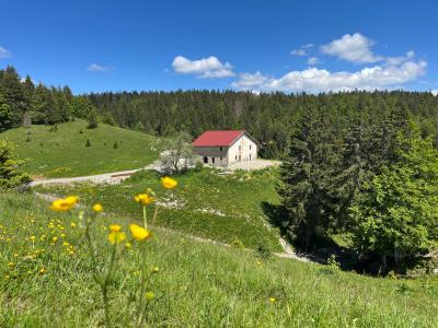 For sale Pesse 7 rooms 330 m2 Jura (39370) photo 0