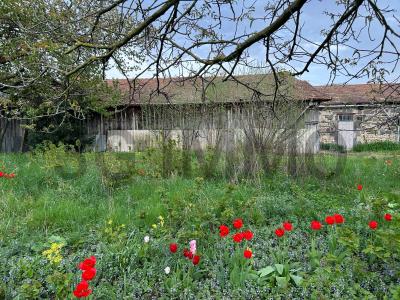 Acheter Maison 77 m2 Saint-andre-le-coq