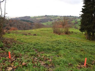 Acheter Terrain Saint-heand Loire