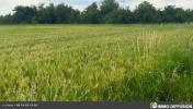 For sale Land Chatuzange-le-goubet PIZANCON