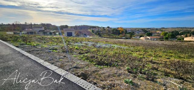 Annonce Vente Terrain Saint-papoul 11