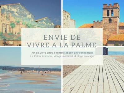 Annonce Vente Terrain Palme 11