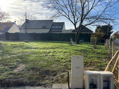 For sale Saint-armel 630 m2 Morbihan (56450) photo 1