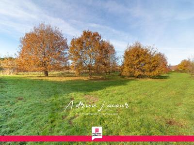 For sale Romorantin-lanthenay 4077 m2 Loir et cher (41200) photo 1